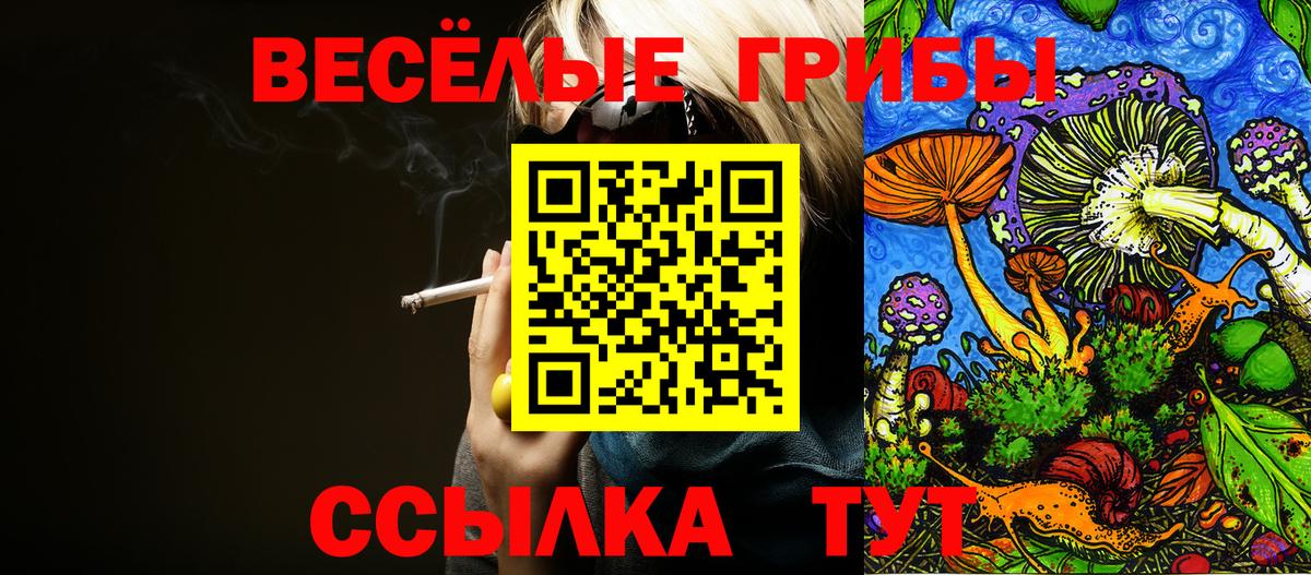 Галлюциногенные грибы MAGIC MUSHROOMS  Вход с VPN  Псилоцибиновые грибы прущие грибы  Холмск 