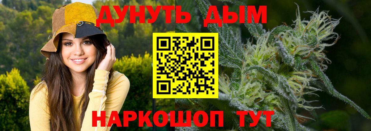 Бошки марихуана семена  Вход с VPN  Холмск  Марихуана Amnesia  Каннабис гибрид 